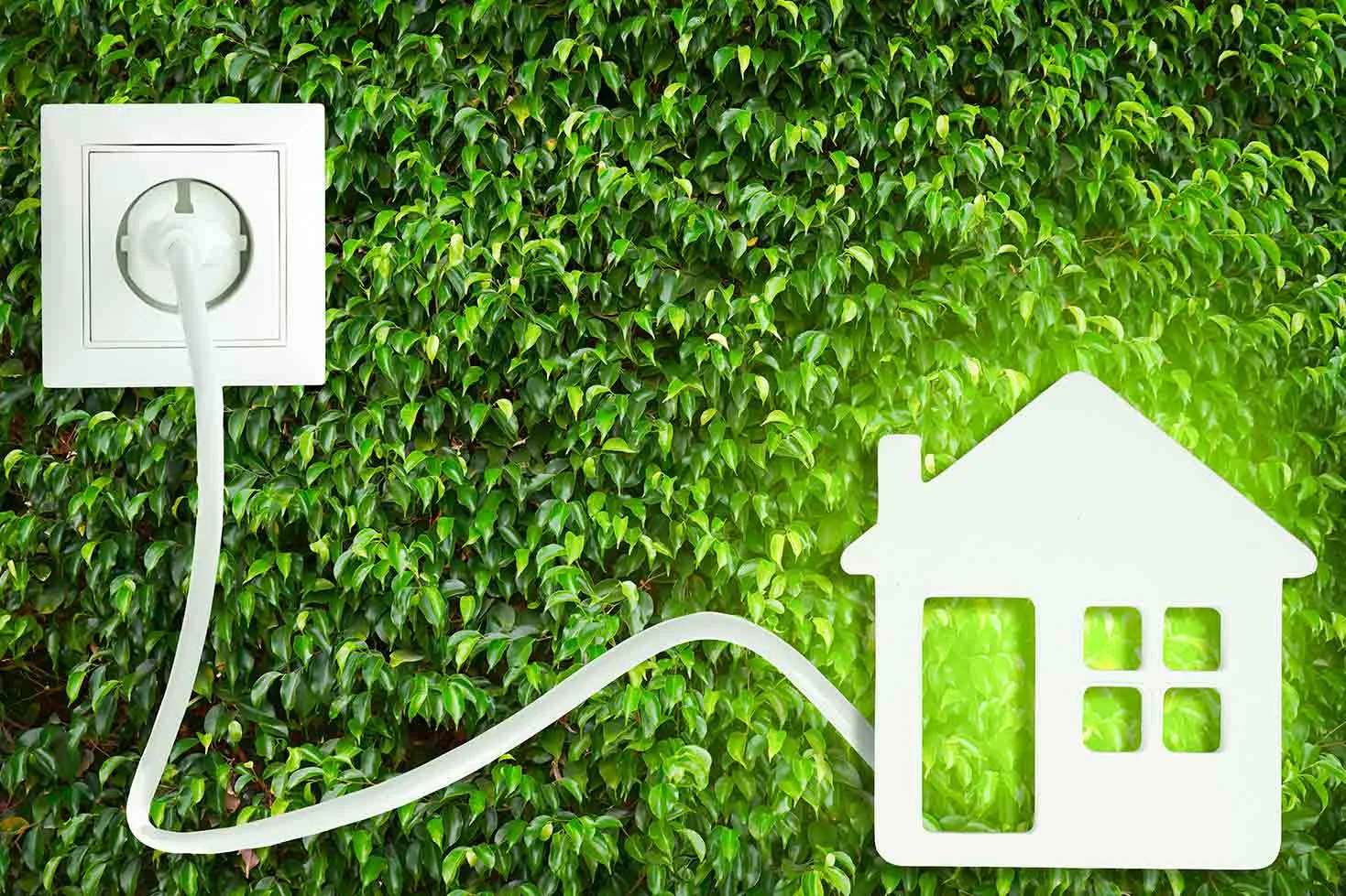 Proelec Group Residential & Commercial Electrical Services - 5